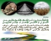 ترس، گرسنگى، زیان مالى